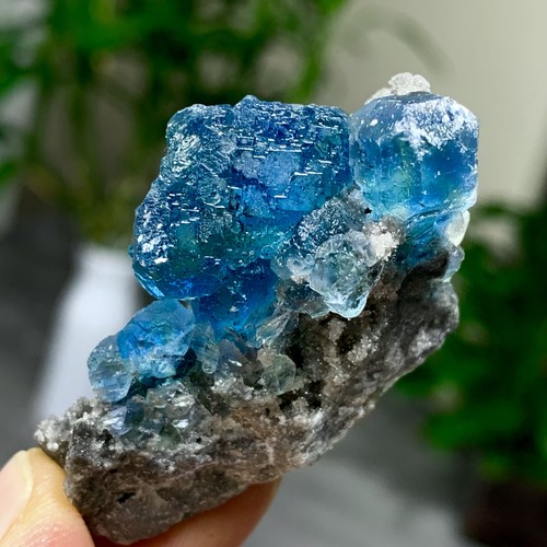 40g rare sphalerite - rare, cube