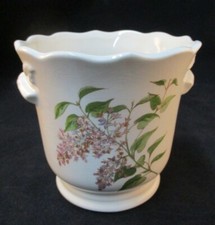 Ceramic Indoor Planter Plant