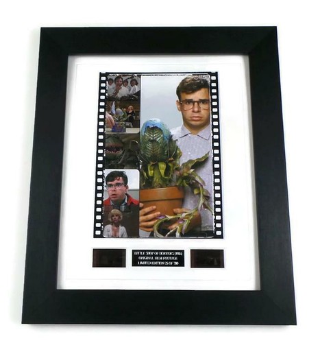 Little shop horrors - shop, of