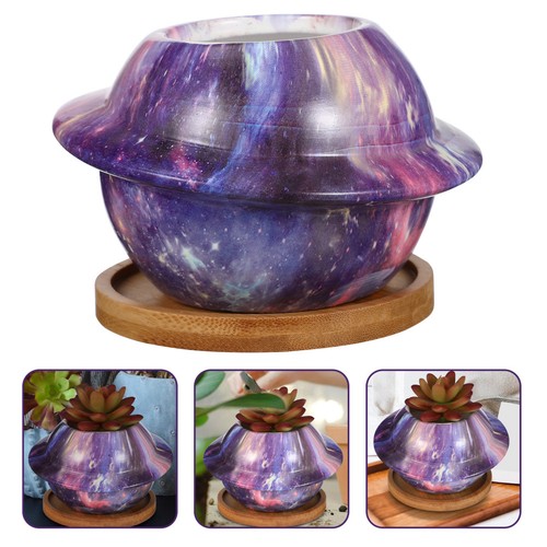 Pot with drainage succulent - pot,