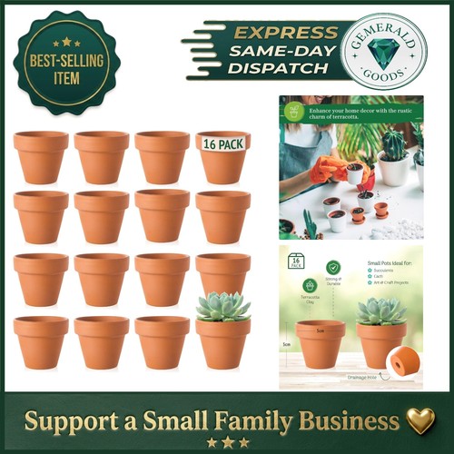 5cm terracotta pots compact - terracotta,
