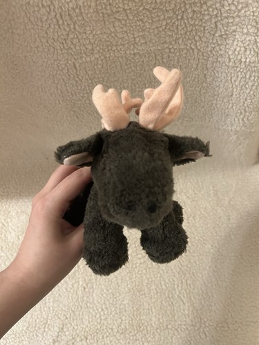 Brown moose soft - soft, toy