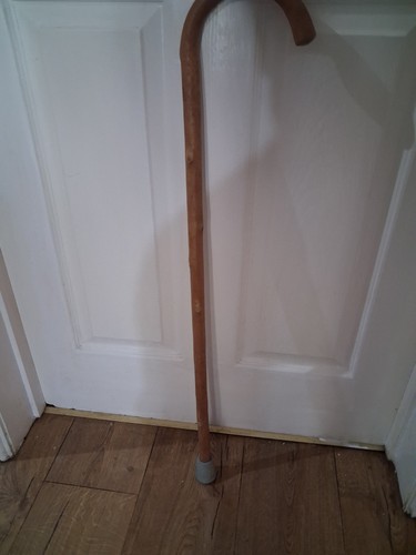 Traditional cane walking stick - cane,