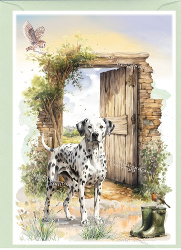 Dalmatian dog greetings card - dog,
