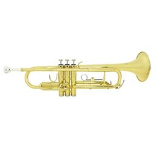 Ex Rental Montreux Student Bb