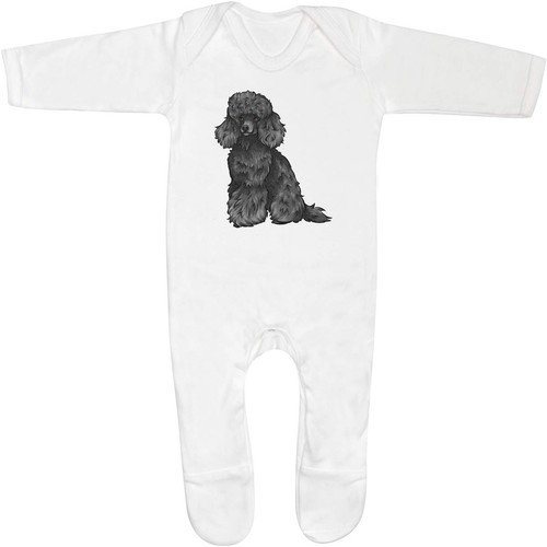 Black toy poodle baby - 'black, poodle'