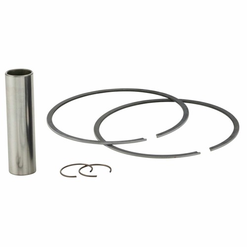 Casapperformance elastic - casapperformance,