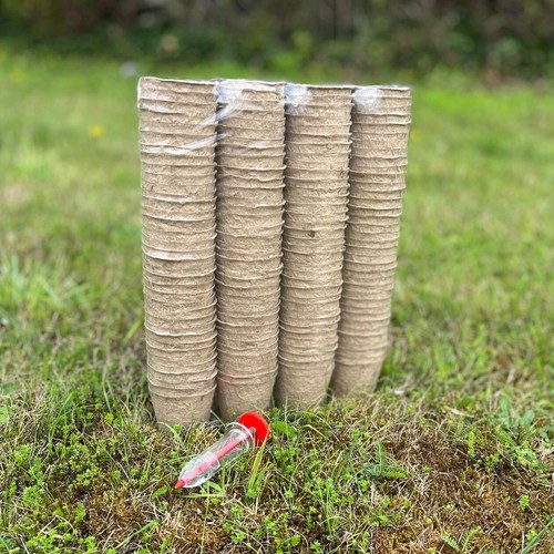 Garden plant pots - plant,
