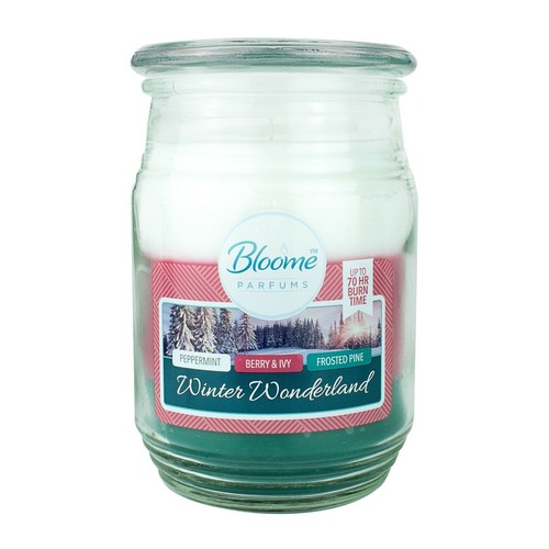 18oz large scented candles - large,