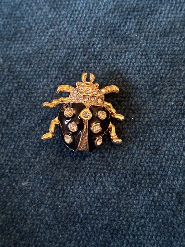 Vintage scarab - vintage,