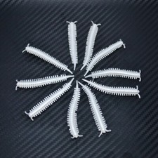 Ragworm Bristle Lug Worm Grub