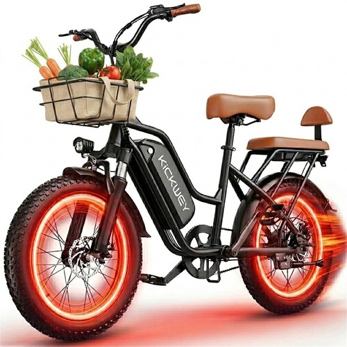 250w seater electric - 250w, city