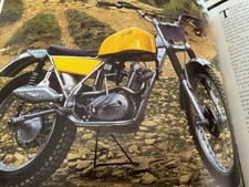 Wasp trials triumph - tiger, cub