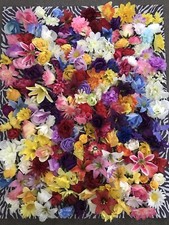 50 Flower Heads Mixed Job Lot