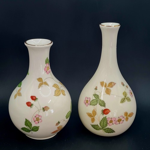 Wedgwood wild strawberry - wild, 2