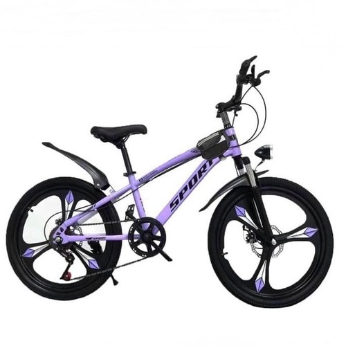 Sport speed inch bike - speed,