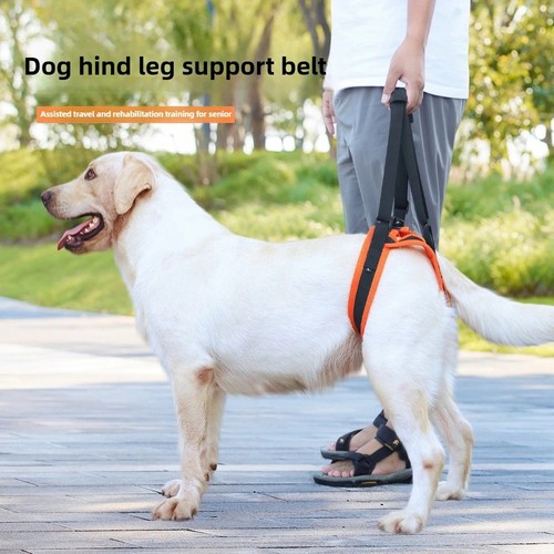 Dog lift harness adjustable - dog,