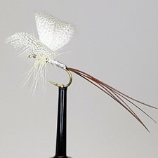 Mayfly natural drake - mayfly,