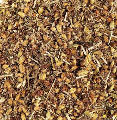Dried yarrow flower herb high - dried,