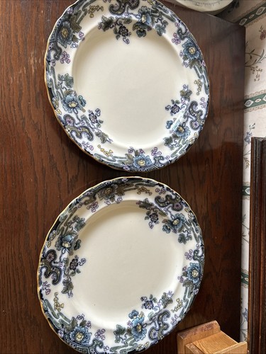 Tokio plates late mayers - tokio,