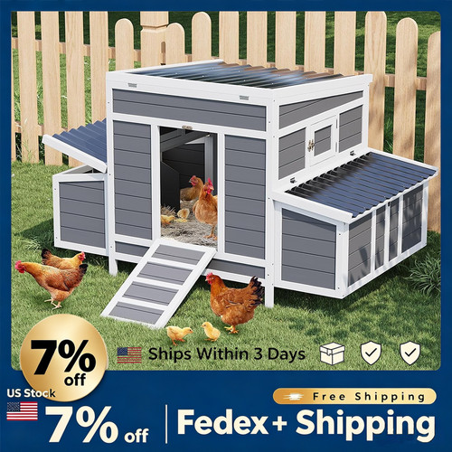 Inch large wooden chicken - inch,