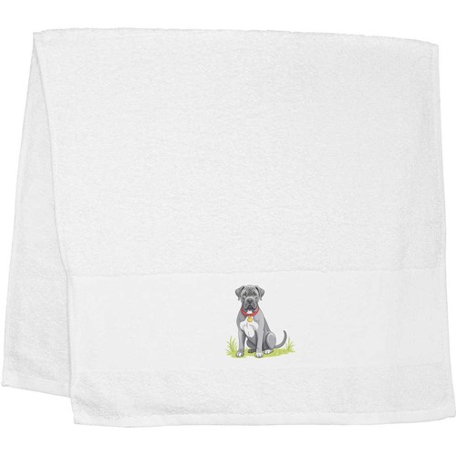 Cane corso dog - dog', guest