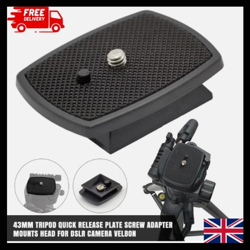 Tripod quick release plate - release,