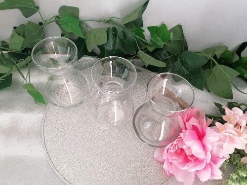 Hyacinth clear glass - glass, bulb