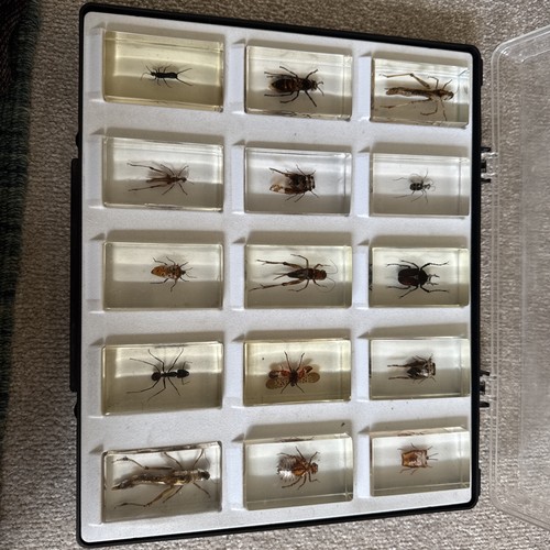 Selection curiosities of - of,