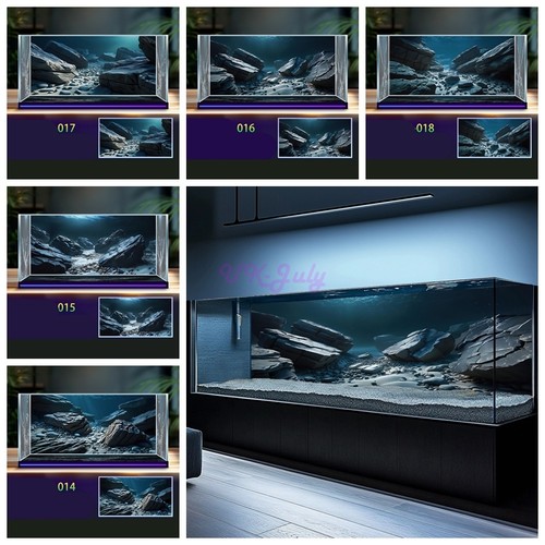 Fish tank background - fish,