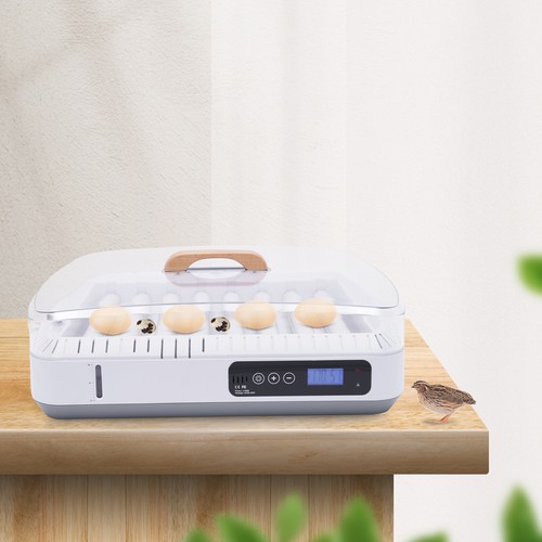 Eggs digital incubator - 35,