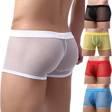 Sexy Mens Mesh Sheer See