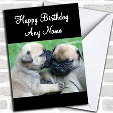 Mastiff Puppy Dogs