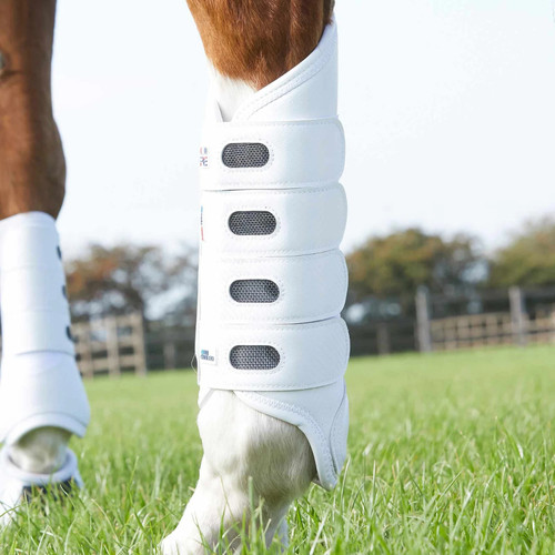 Premier equine carbon - premier, air