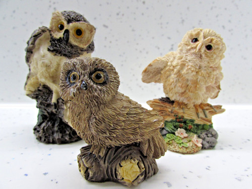 Border fine arts owl ornament - border,