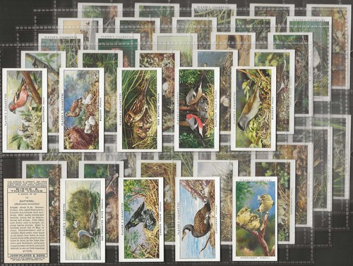 Players full set - set-, birds