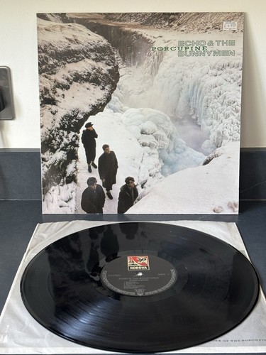 Echo the bunnymen porcupine - &,