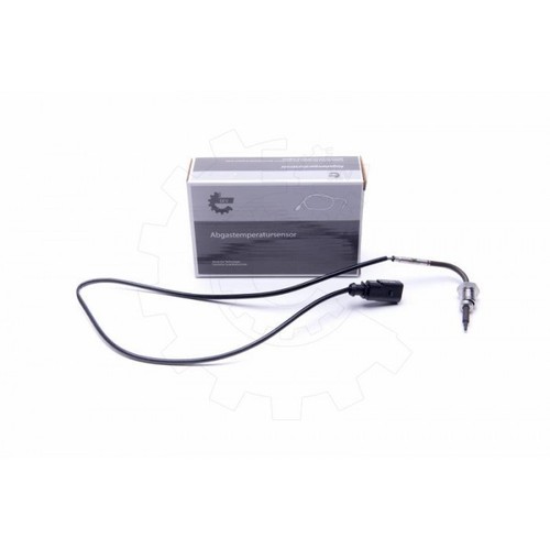 Fap sensor probe - seat, leon