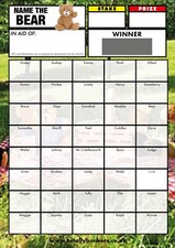 Teddy Bear Fundraising Scratch