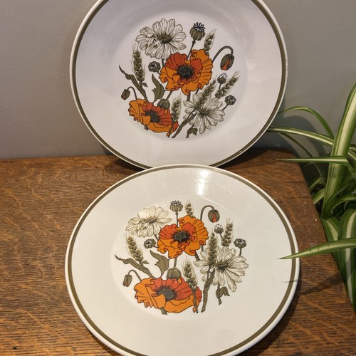 Meakin poppy dinner - jg,