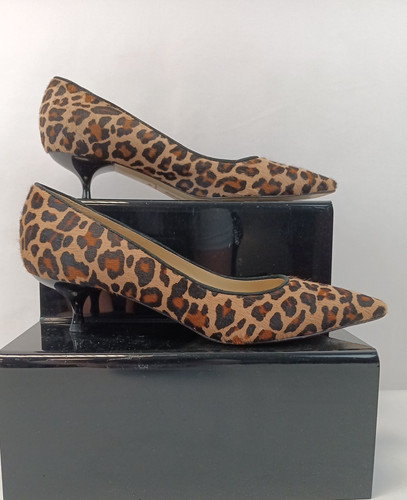 Hobbs leopard print kitten - hobbs,