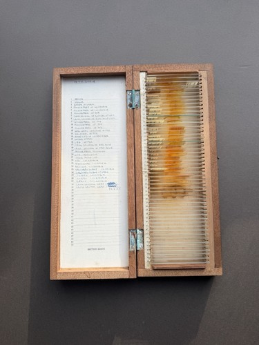 Vintage microscope slide - microscope,