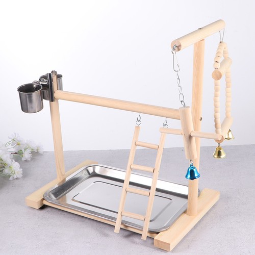Parrot playstand birds play - parrot,