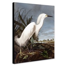 Snowy Heron by John James