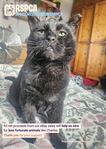 Rspca london took - sw,