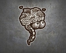 BOMONSTER Aircooled in the Brain Decal - Old School Hot Rod Boxer Bus Sticker