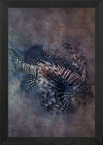 Lion fish framed wall art - fish,