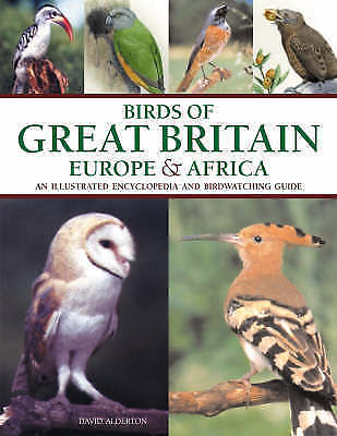 Birds great britain europe - of,