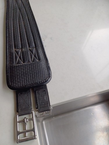 Equestrian leather padded - leather,