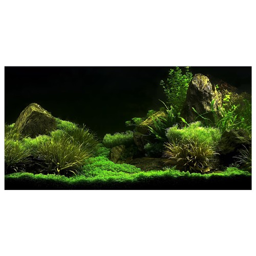 Ohling fish tank - ohling,